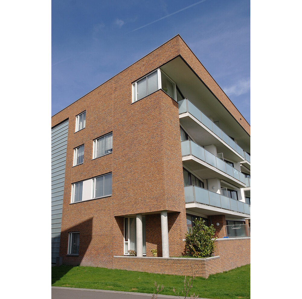 Цегла ручного формування 305 Terra Cotta GS, фото 4