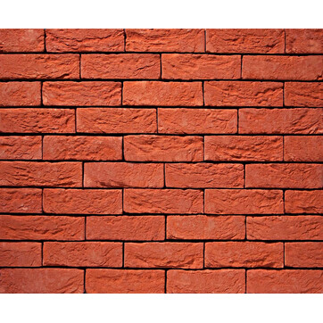 Цегла ручного формування 11 Terra rood, фото 1