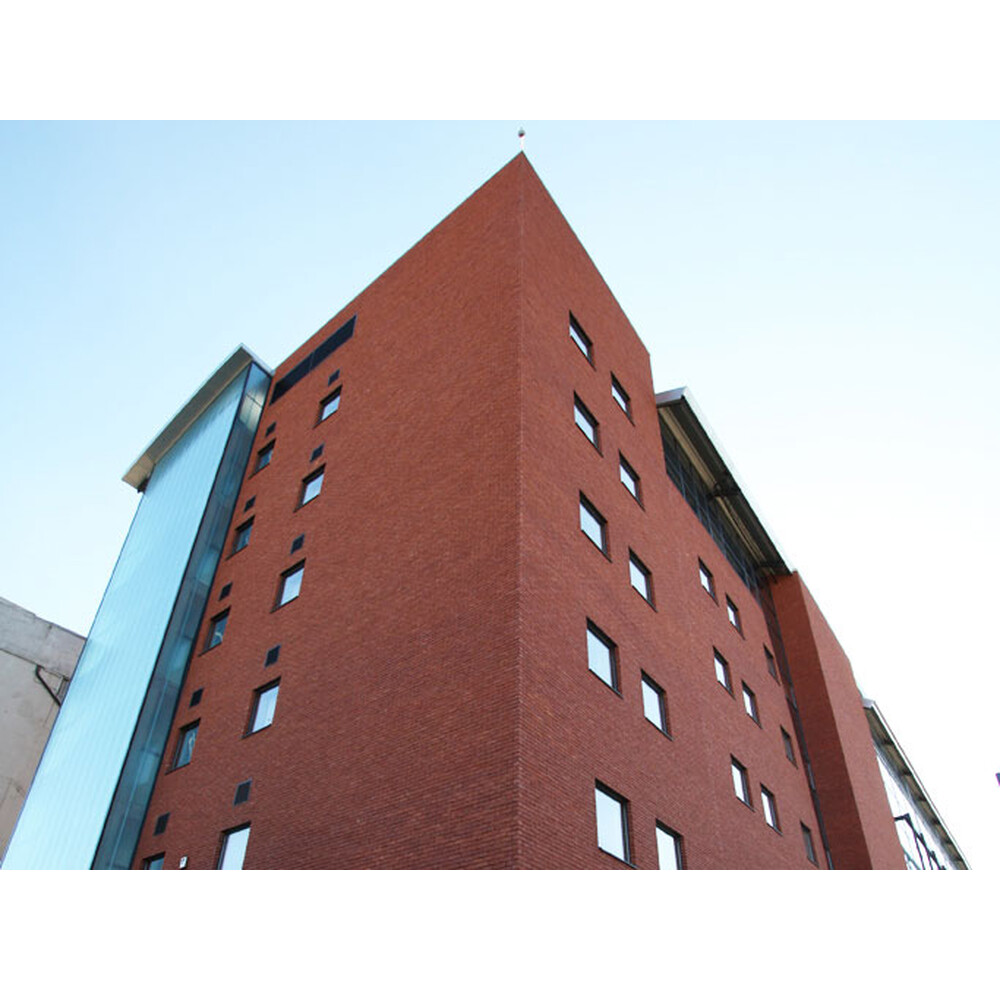 Цегла ручного формування 11 Terra rood, фото 10