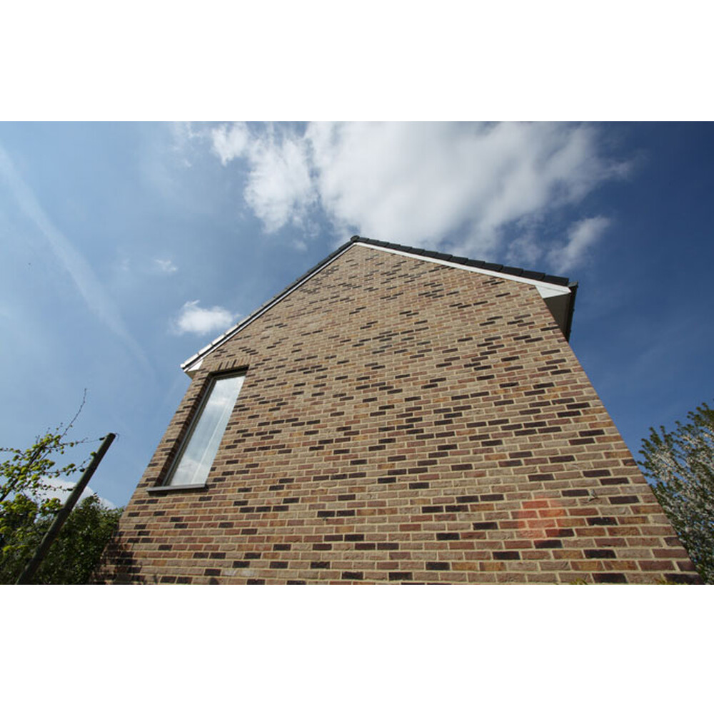 Цегла ручного формування 25 Zinnia, фото 2