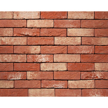 Цегла ручного формування 61 Affligem, фото 1