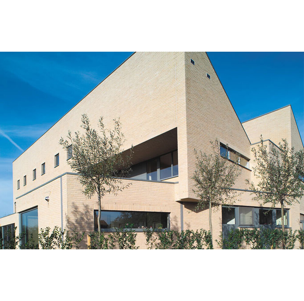 Плитка ручного формування 8 Lindebloem, фото 7