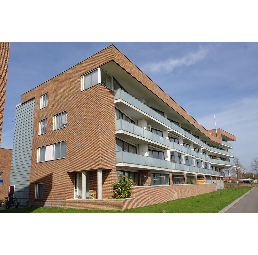 Плитка ручного формування 305 Terra Cotta GS, фото 6