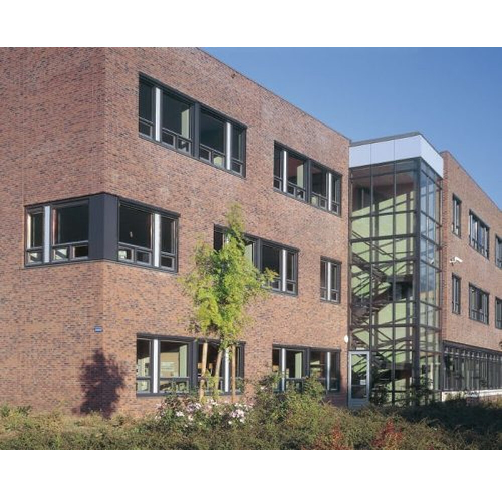 Цегла ручного формування 309 Carmine GS, фото 3