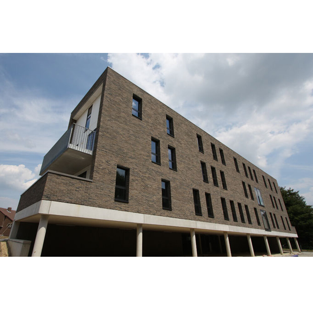 Цегла ручного формування 122 Brama, фото 5