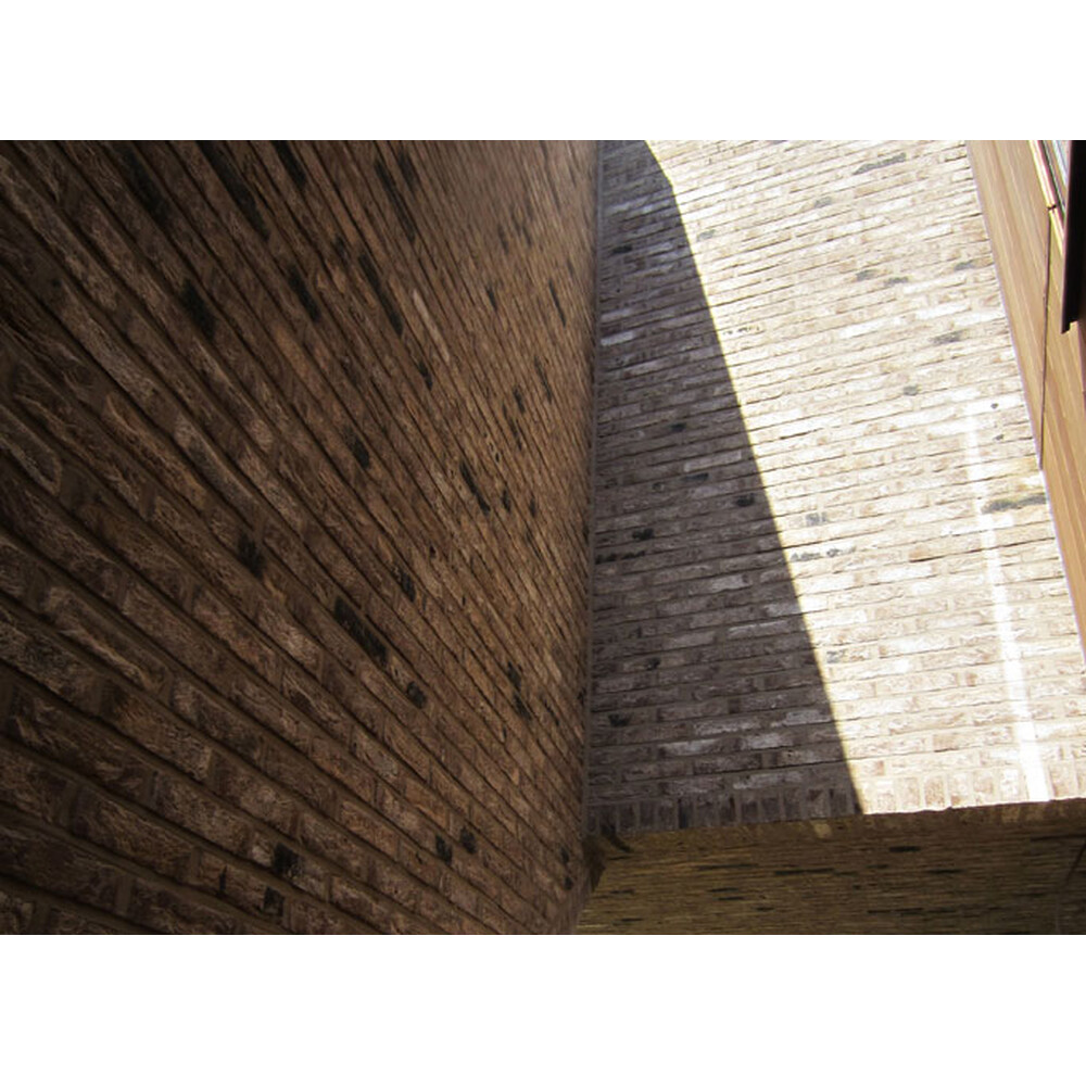 Цегла ручного формування 155 Vecto, фото 7