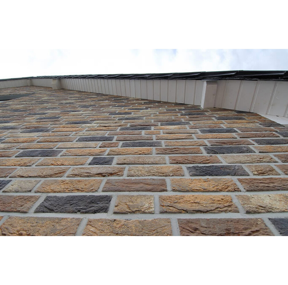 Цегла ручного формування 62 Sella, фото 4