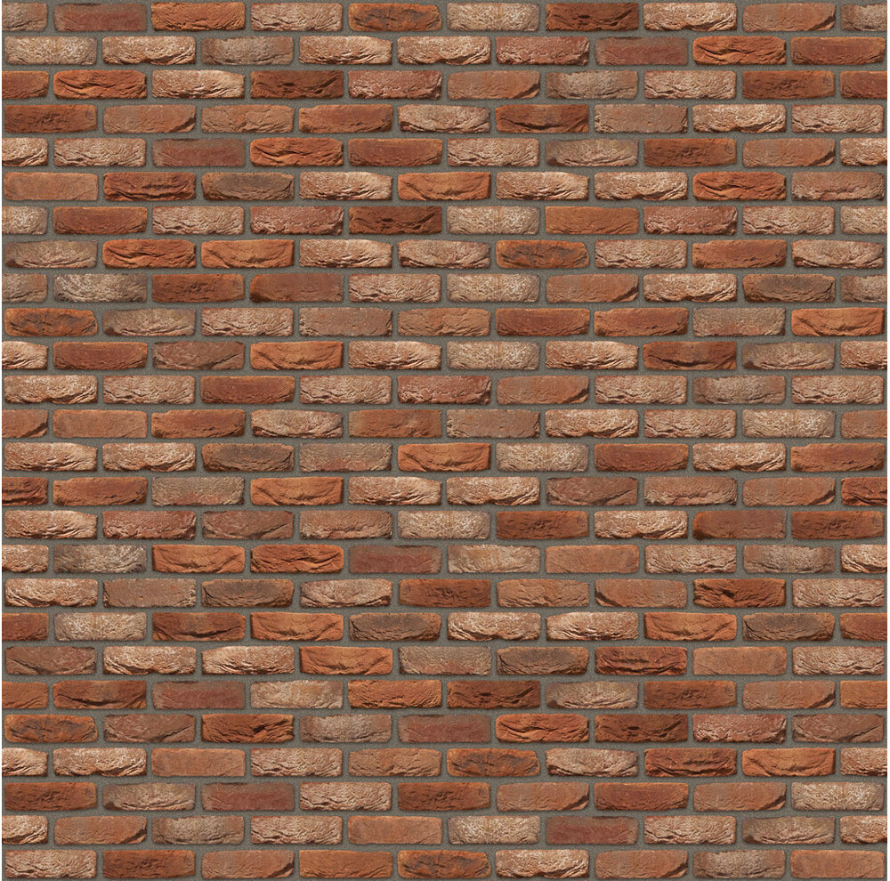 Цегла ручного формування 913 Ameland Antiek, фото 2