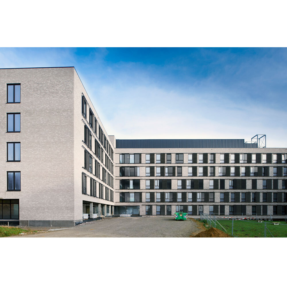 Цегла ручного формування 123 Rega, фото 8