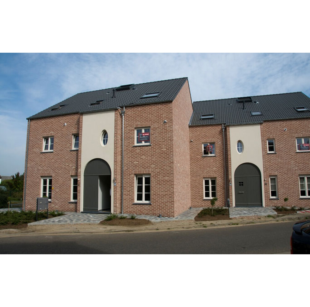 Цегла ручного формування 63 Cayenne, фото 2