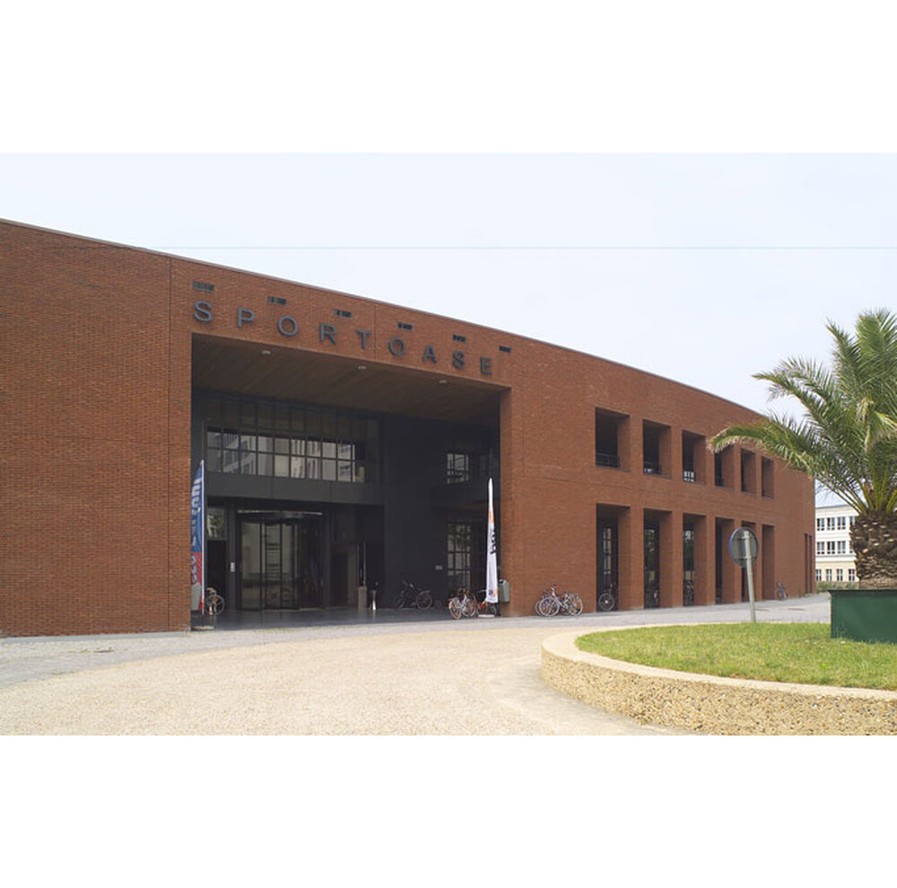 Цегла ручного формування 95 Scala, фото 2