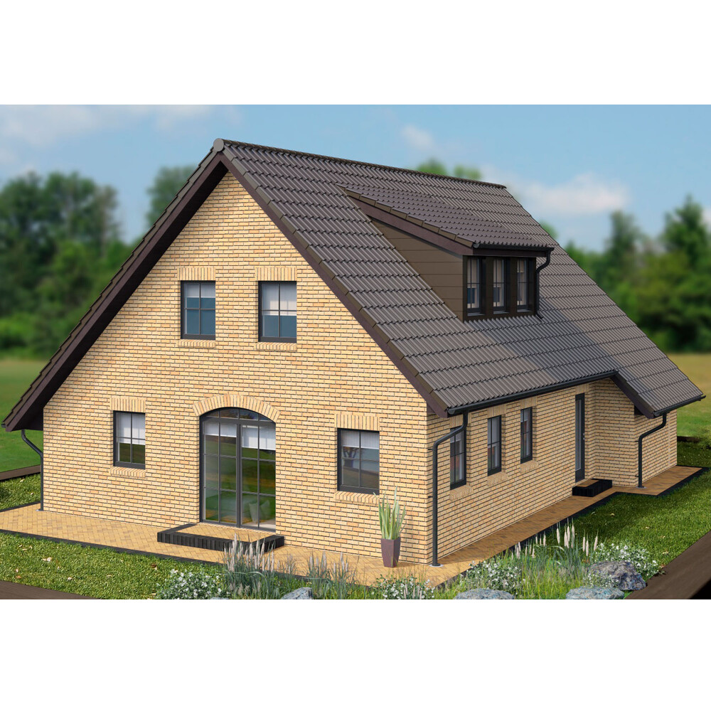 Клінкерна цегла K 724 Vascu sabiosa bora, фото 2