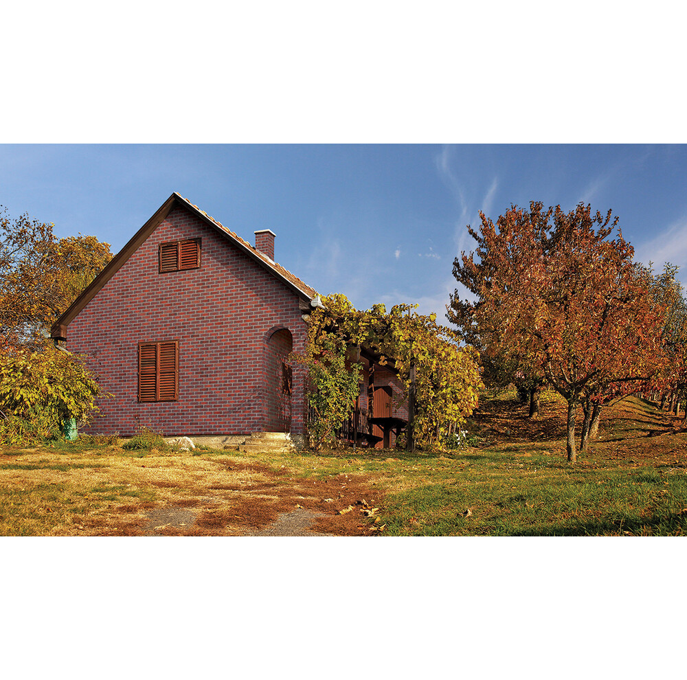 Клінкерна плитка King Klinker HF21 Aria rustica, фото 4