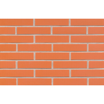 Клінкерна плитка Feldhaus Klinker R220 LDF terracotta liso, фото 1