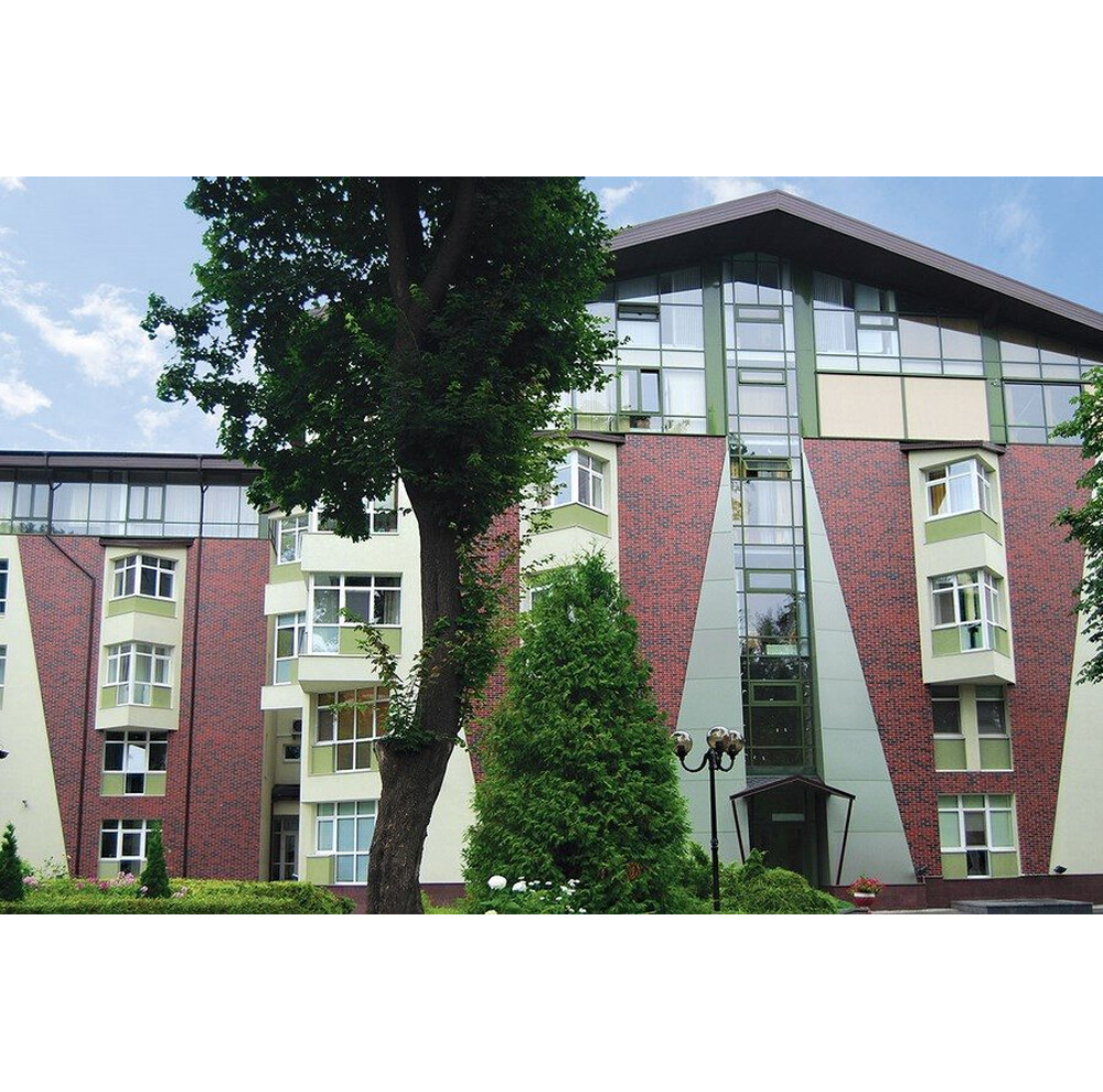 Клінкерна плитка King Klinker (04) Wild wine, фото 2