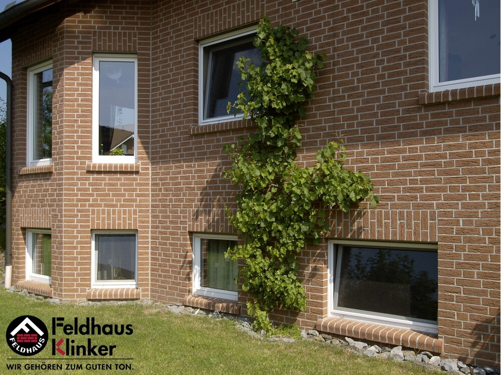 Клінкерна плитка Feldhaus Klinker R435 carmesi mana, фото 5