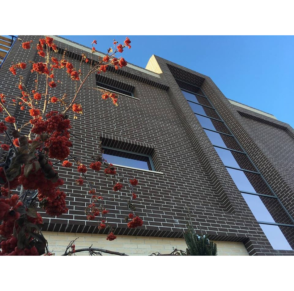 Клінкерна плитка Feldhaus Klinker R540 geo senso, фото 6