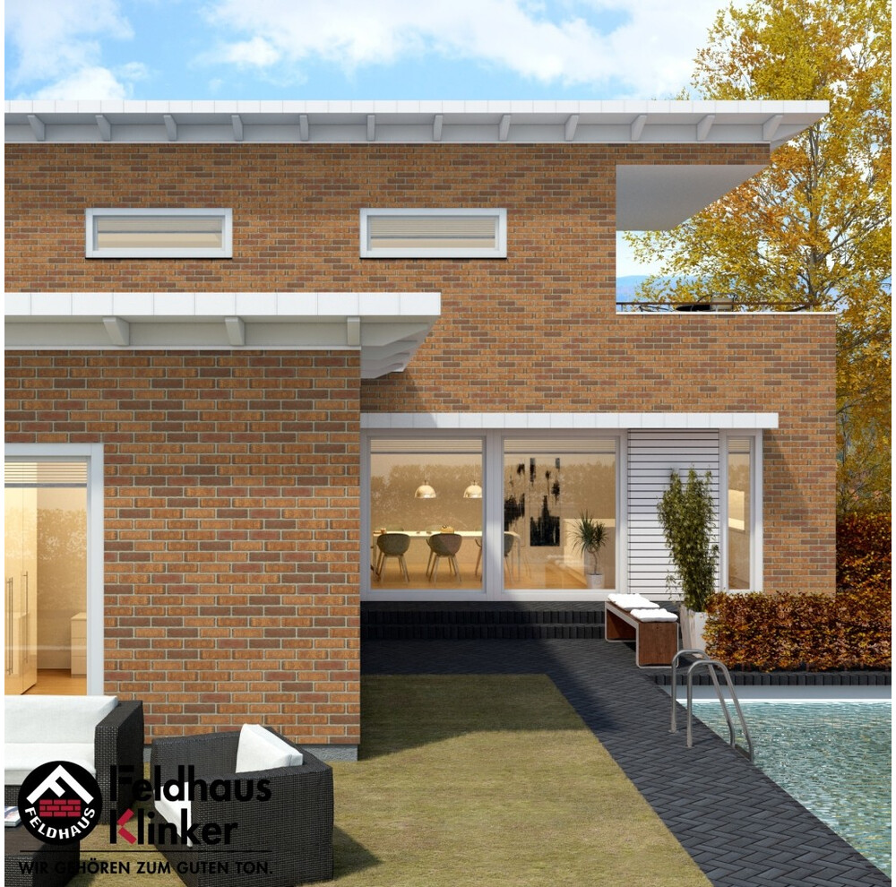 Клінкерна плитка Feldhaus Klinker R686 NF11 ardor calino sintra, фото 12