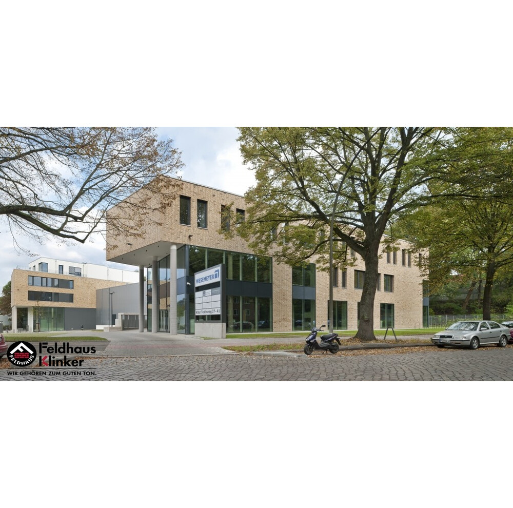 Клінкерна плитка Feldhaus Klinker R766 vascu sabiosa rotado, фото 9