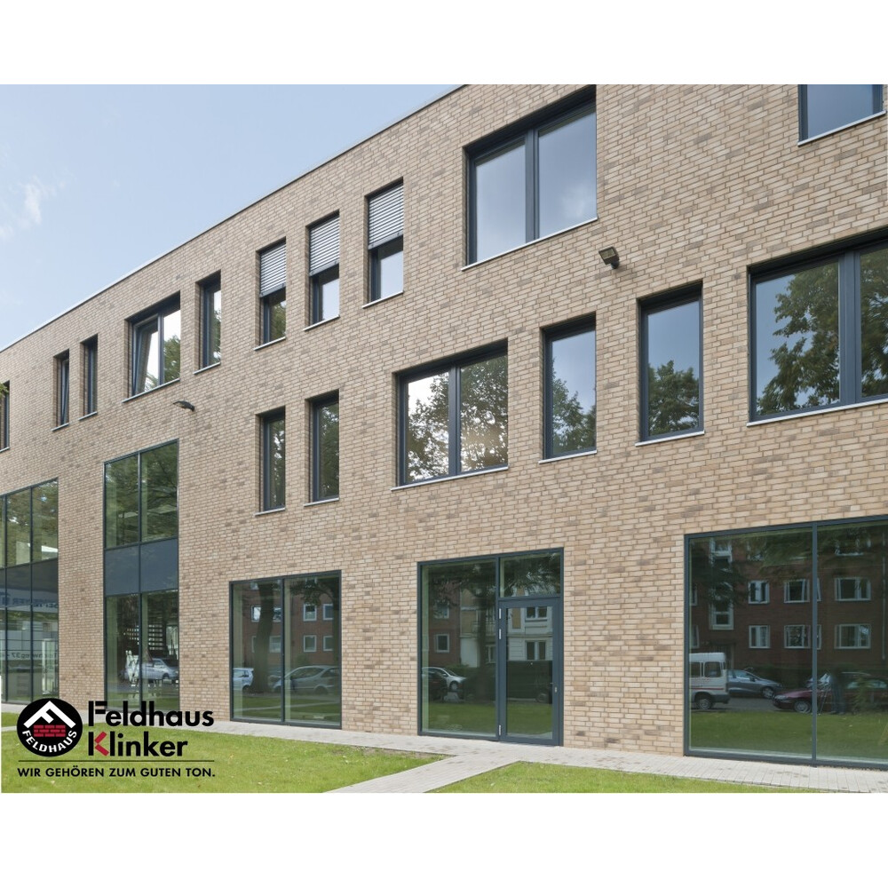 Клінкерна плитка Feldhaus Klinker R766 vascu sabiosa rotado, фото 8