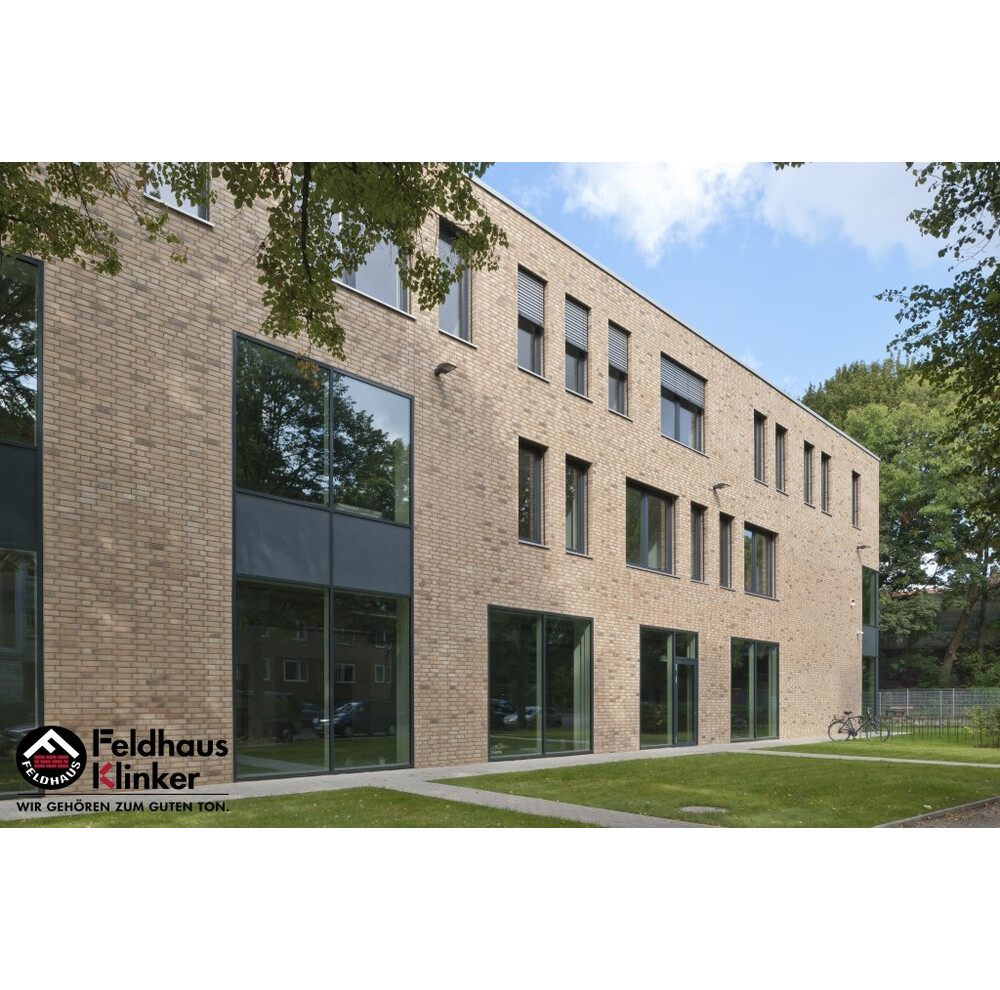 Клінкерна плитка Feldhaus Klinker R766 vascu sabiosa rotado, фото 7