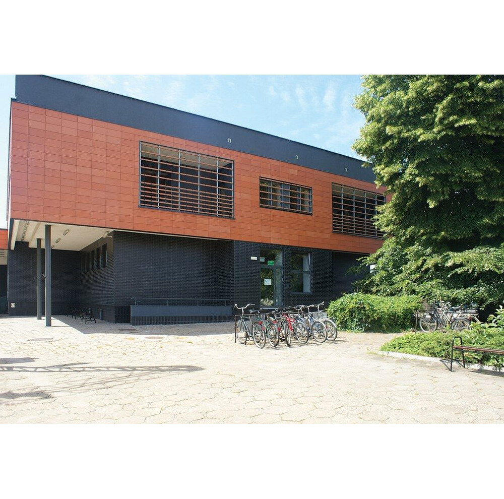 Клінкерна плитка King Klinker (08)  Polar night , фото 3