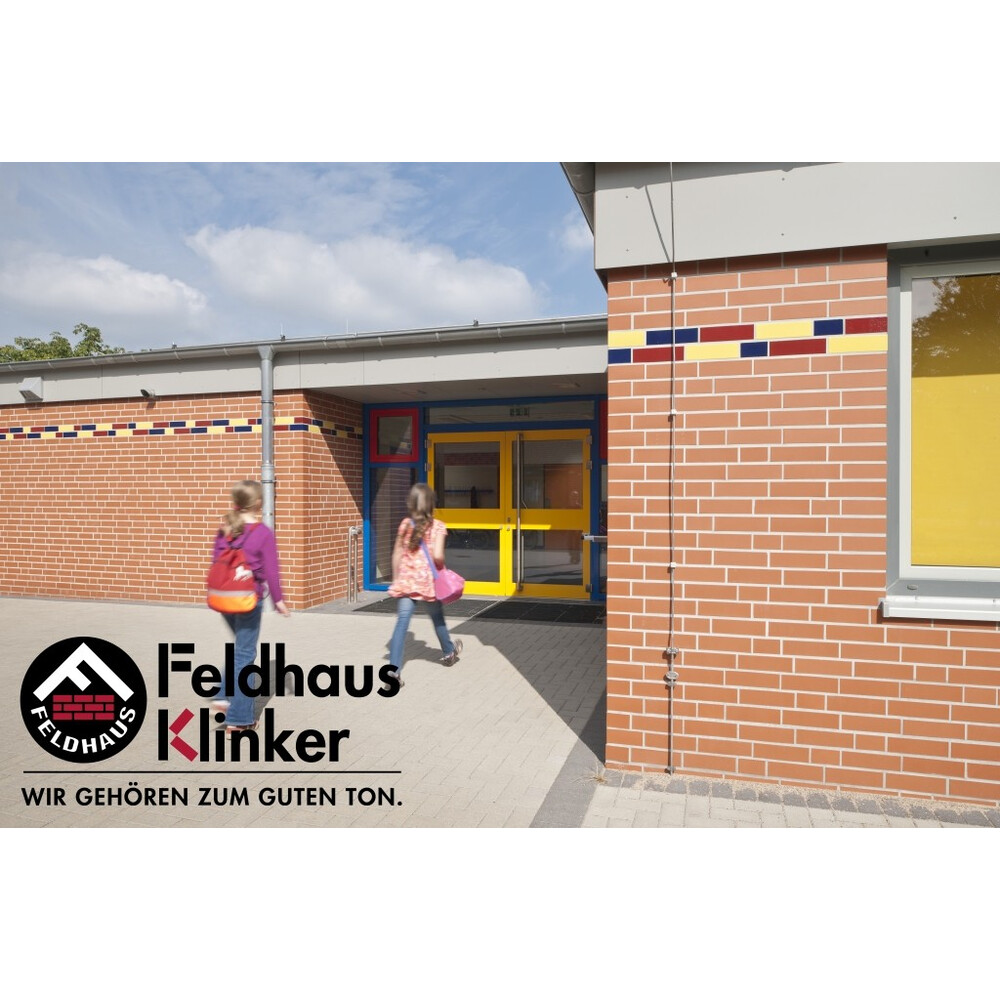 Клінкерна плитка Feldhaus Klinker R480 liso, фото 9