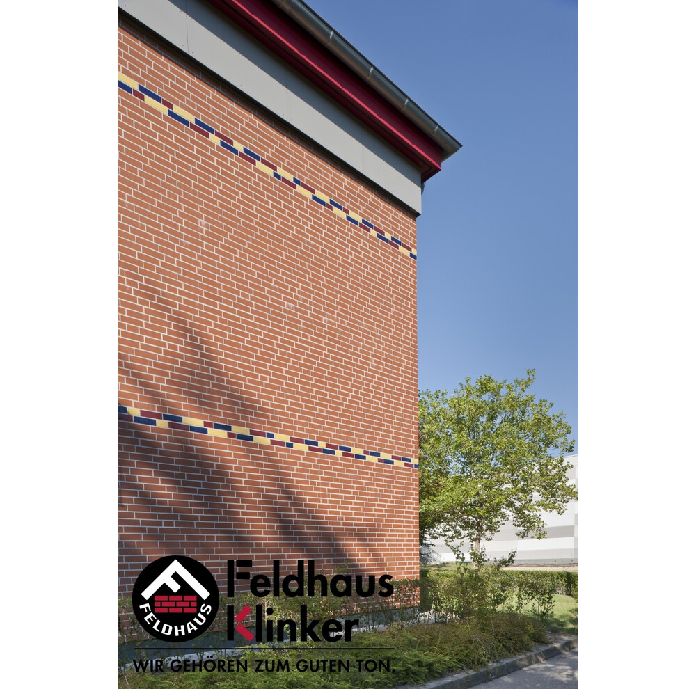 Клінкерна плитка Feldhaus Klinker R480 liso, фото 7