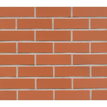 Клінкерна плитка Feldhaus Klinker R480 liso, фото 1