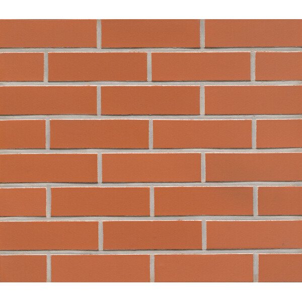 Клінкерна плитка Feldhaus Klinker R480 liso, фото 1