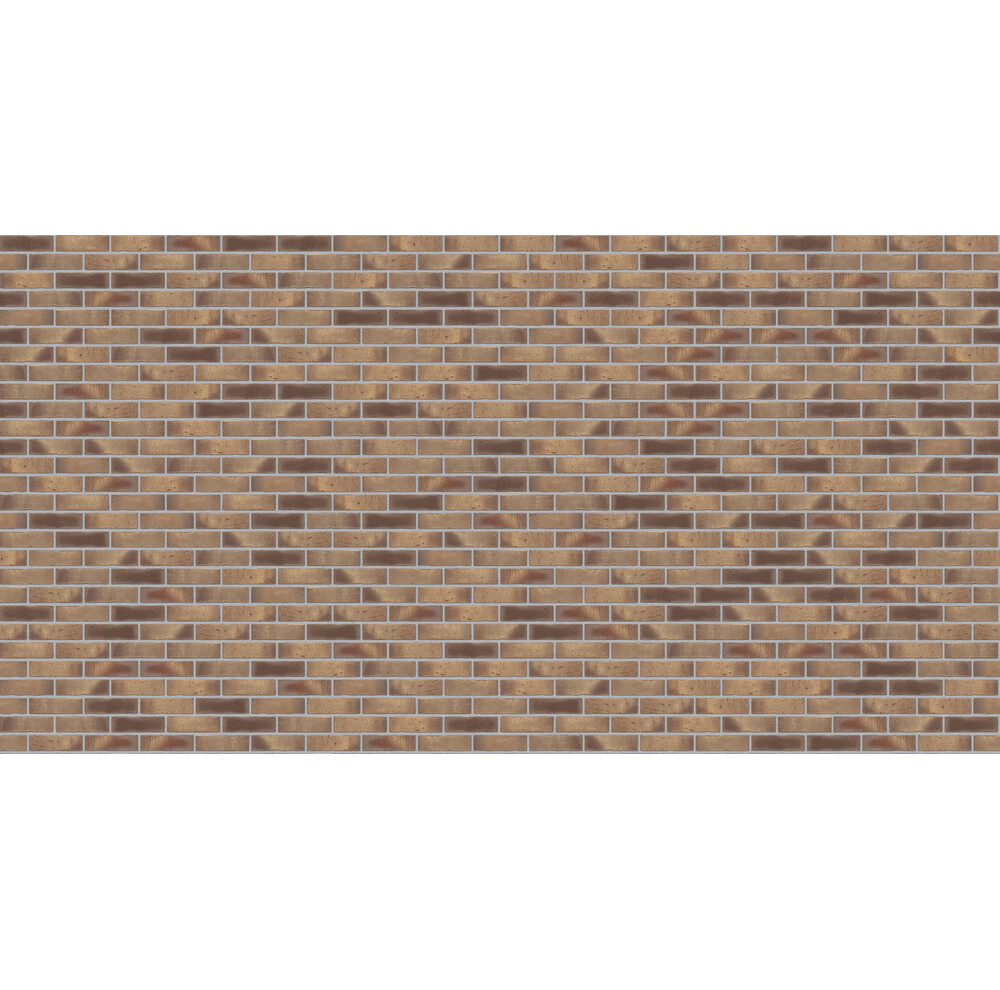 Клінкерна плитка Feldhaus Klinker R931 vario geo carinu, фото 3