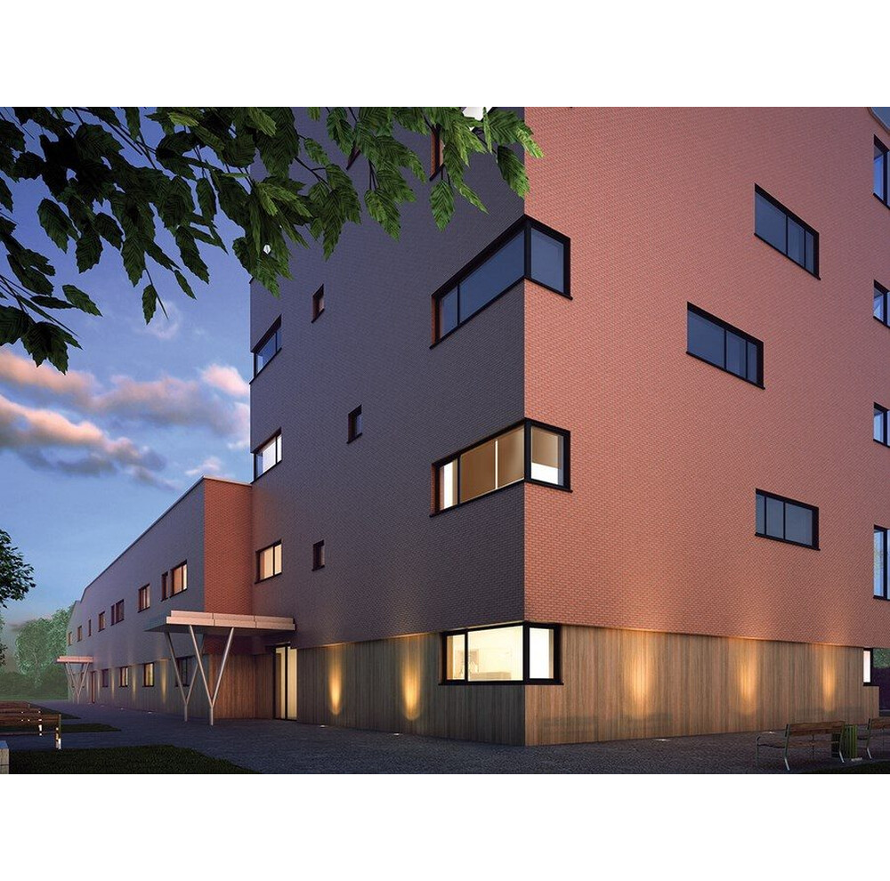 Клінкерна плитка King Klinker (19) Рубінове полум'я, фото 2