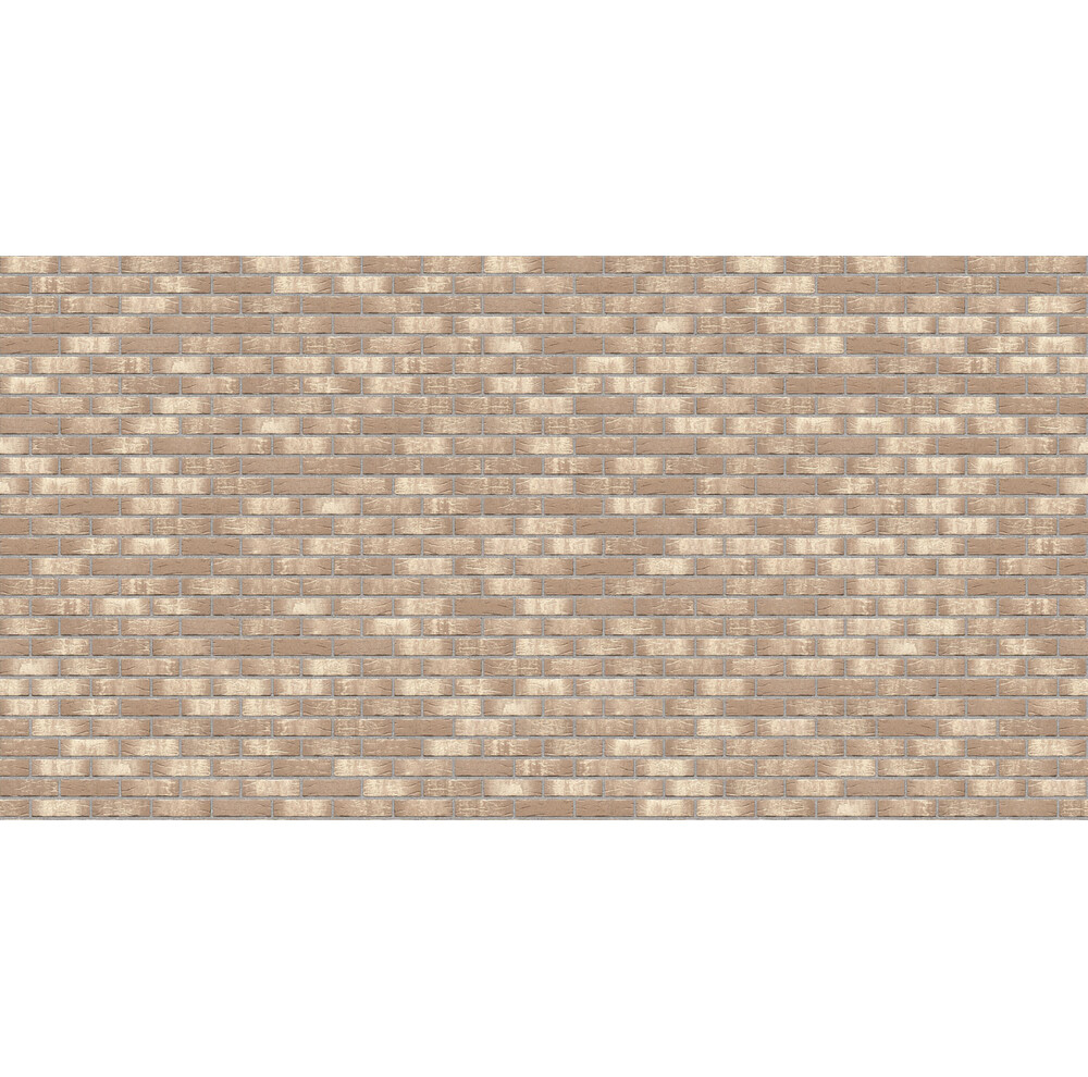 Клінкерна плитка Feldhaus Klinker R682 NF11 sintra argo pandra, фото 3