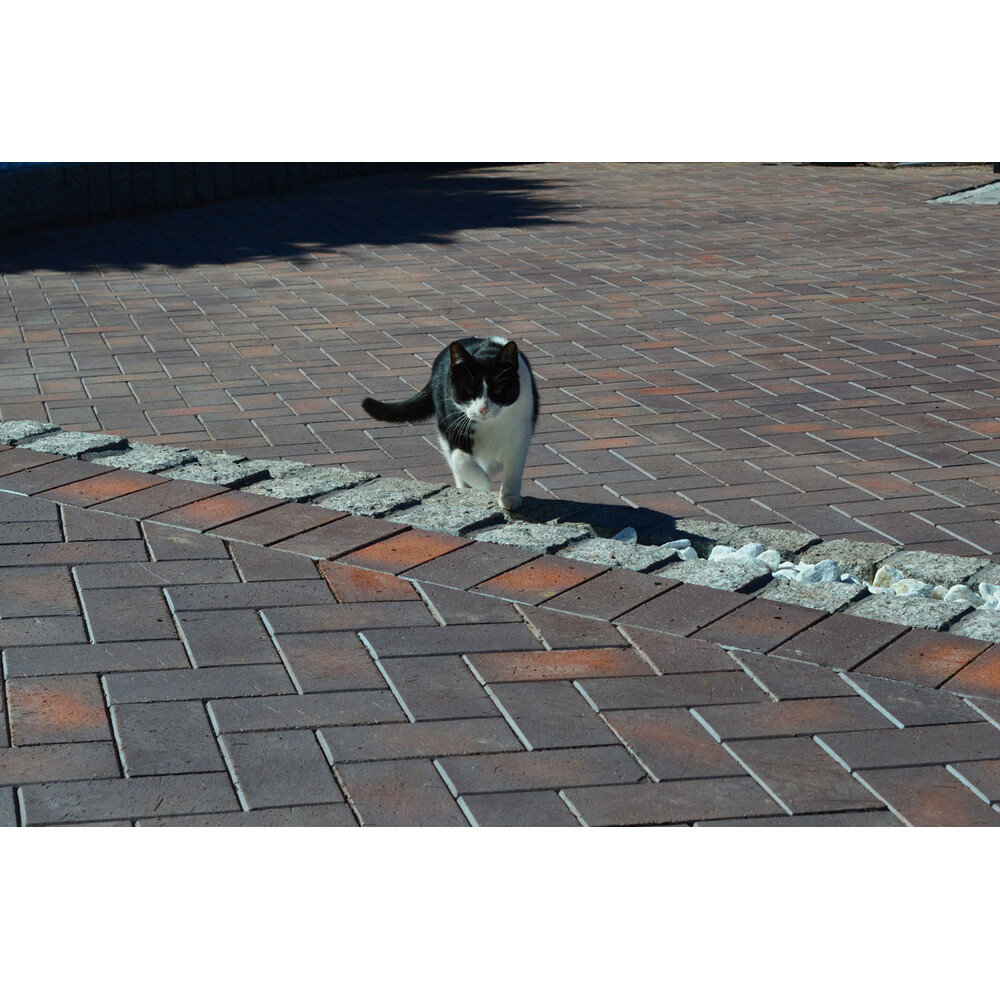 Клінкерна бруківка Vandersanden Calau 52, фото 12