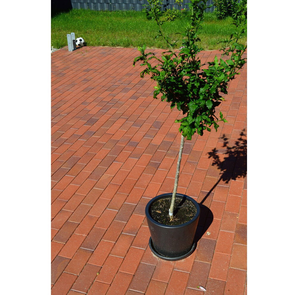 Клінкерна бруківка Vandersanden Zittau, фото 10